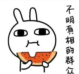 吃瓜搞笑配文短句,吃瓜群众欢乐多
