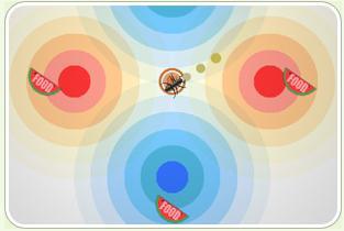 蚂蚁吃瓜画画,一场别开生面的绘画之旅