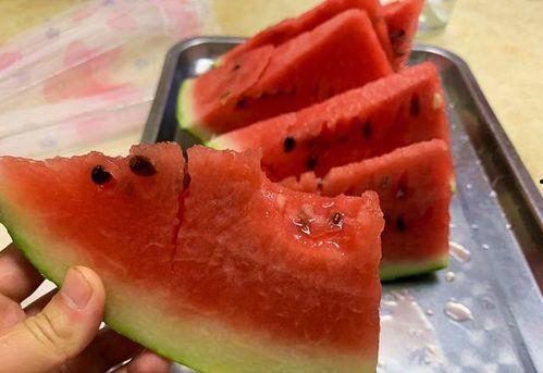 吃瓜小地雷,带你领略网络热点的魅力与风险