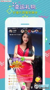 兔兔子吃瓜直播,趣味横生的网络直播盛宴