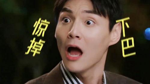 舍不得星星吃瓜,不舍得星星的独特美食之旅