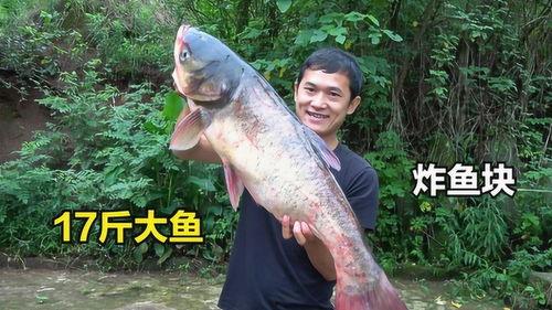 吃大瓜鱼,探寻海洋中的美味佳肴