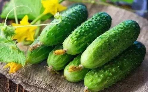 春天吃芽夏天吃瓜,四季养生之道