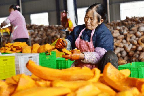 织金县吃瓜,瓜果飘香，品味田园生活