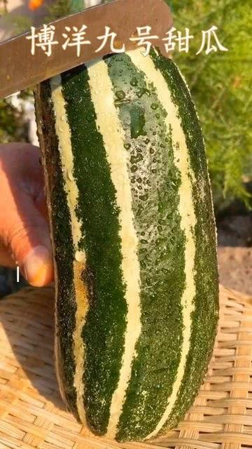 这瓜还能怎么吃