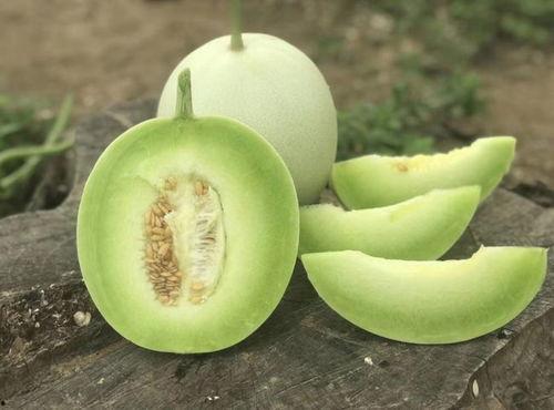 吃瓜入口 - 吃瓜入口