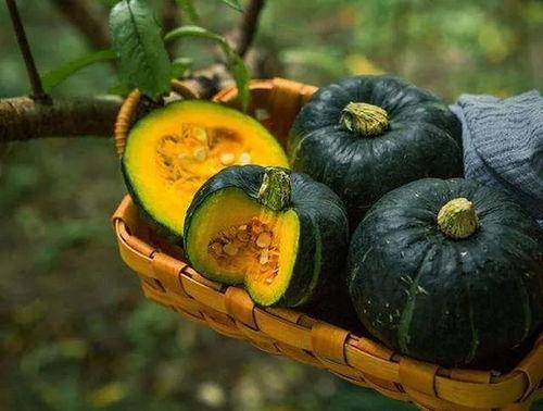 栗子蓝瓜怎么吃,探索美味新吃法