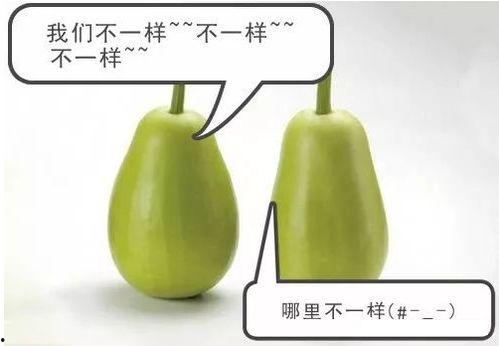 安之吃瓜7,揭秘娱乐圈背后的秘密与真相