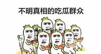 吃瓜群众报道中国