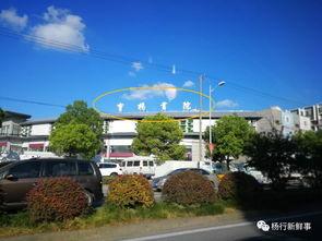 售楼部最新吃瓜