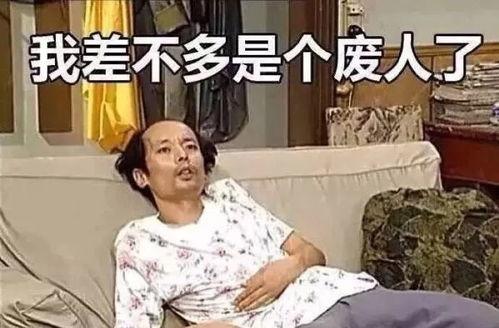 废差夫妇吃瓜日常,废差夫妇的甜蜜瓜田生活日常