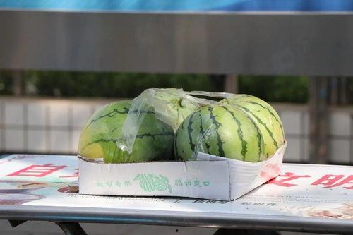 中午12 00吃瓜,揭秘中午12点吃瓜的奇妙体验