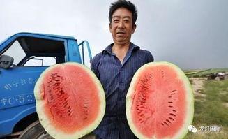 吃全国瓜,一场味蕾的环球之旅